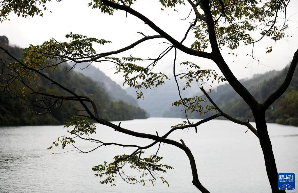 资兴市|湖南资兴：烟雨东江湖 秋色美如画