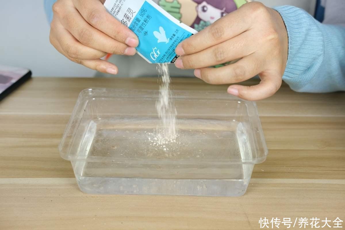 多菌灵不会用，就算春天买再多花，最后可能也死翘翘