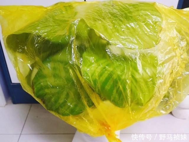 叶子|6种花一天不浇水,叶子就耷拉,缺水3天就死翘