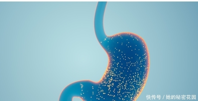 人,平时多吃5种食物,修复胃黏膜,值得学习