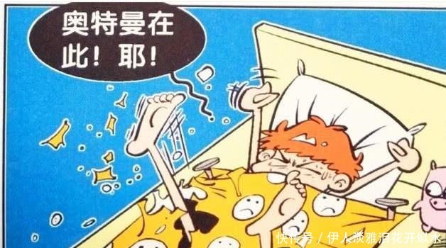 踢被子|猫小乐小衰“奥特曼附体”狂踢防弹被“被被师傅”太贴心！