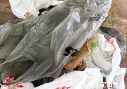 断舍离|“断舍离”究竟该怎么做?丢掉这5样东西,才能人生更极致