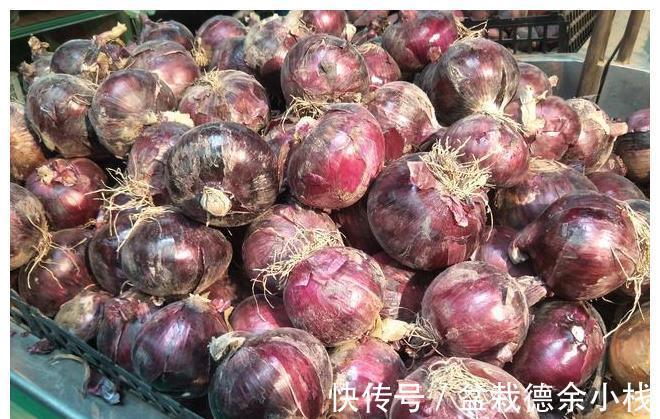 妙招|保存洋葱有妙招,学会1招,洋葱放1年不变坏,随时都新鲜