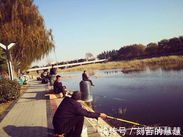 紫藤@五律 冬韵（外五首）