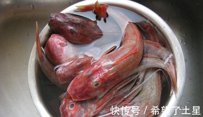 红娘鱼|买鱼时，聪明人专挑这3种鱼，肉质鲜嫩营养高，目前无法人工养殖！