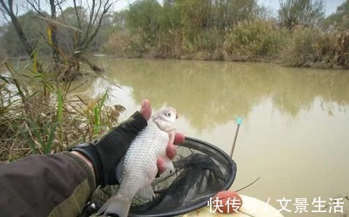 钓位|钓鱼人谴责别人的同时,也应该注意自己的这些行为