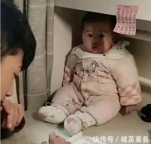 吉祥物|“吉祥物”妹妹火了,哥哥写作业把她放书桌上,妹妹表情太搞笑