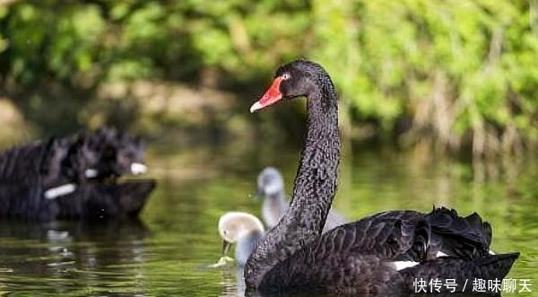 内向的人|最终获得成功的人,都是被人忽视的“内向”孤独者