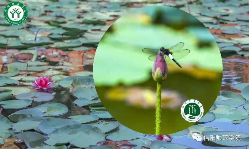 307.4公里！这是我见过最甜的异地恋！这对情侣火了！