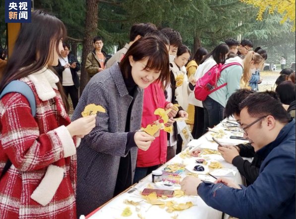 陕西师范大学|太浪漫！这所高校收集上千片叶子，只为这件事