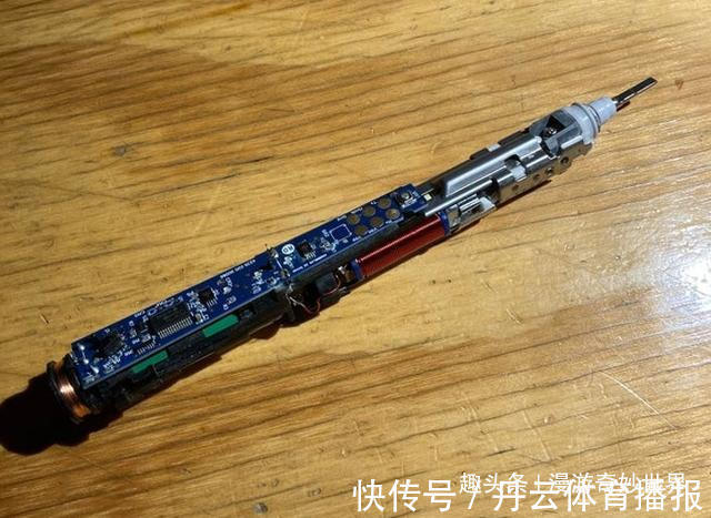 鹦鹉螺&这些东西内部长啥样?25张照片揭示日常事物看不见的一面!