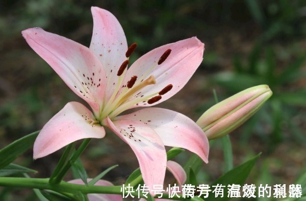 财运$时来运转的人,都有4个能力,具备其中一个就能“财运大发”!