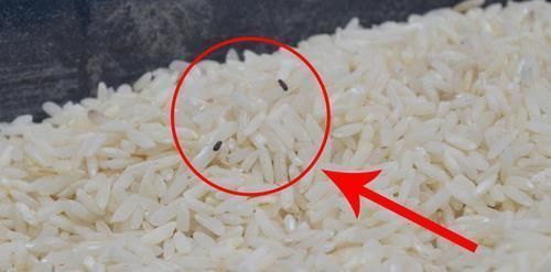 抹布又脏又油难清洗,水里加点它泡一泡,也能变得干干净净,真实用