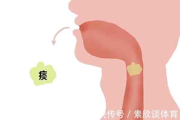 喉骨|痰多、咳不干净?化痰小妙招请收好,祛痰清肺润喉,让嗓子变舒服