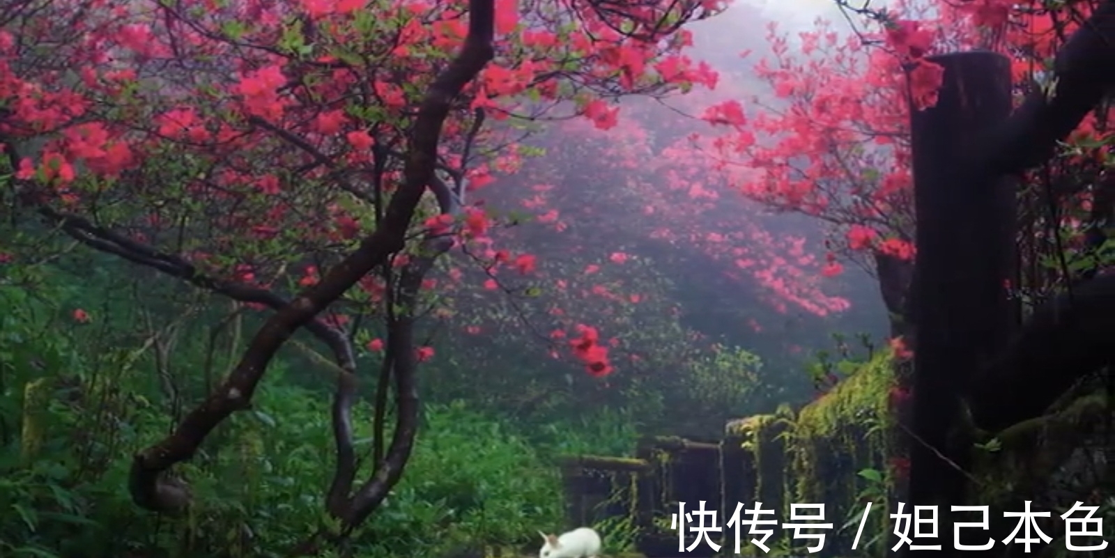 满庭芳&秦观一首兼具音韵美、诗意佳、画境幽的压卷小令,读之如飞花入梦