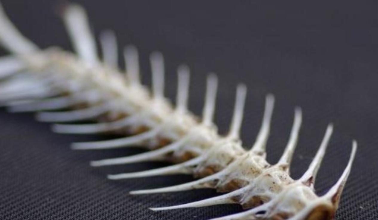 b4岁孩子被鱼刺卡喉,妈妈用这个方法'取刺',医生:优秀的父母