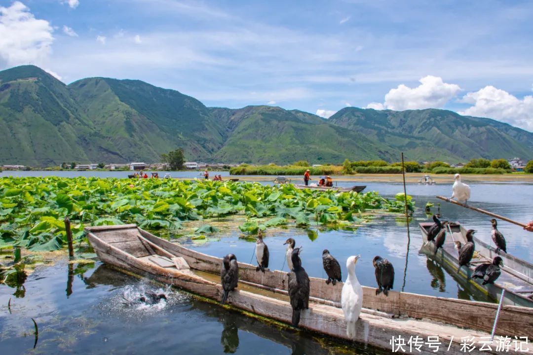 大理|冬季游大理全攻略：赏苍洱风光，了解历史文化，体会少数民族风情