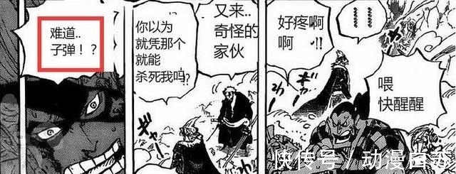 卧底|海贼王：三灾奎因是CP0卧底？其使用的子弹暴露真实身份