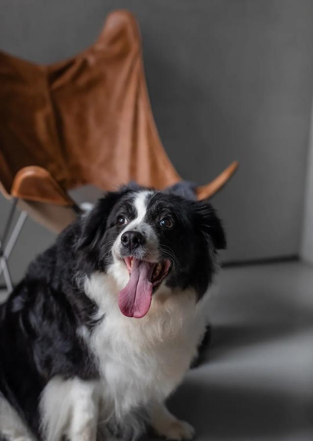 水泥漆|88㎡小三居,磐多魔+水泥漆,她家的“毛坯房”太酷了