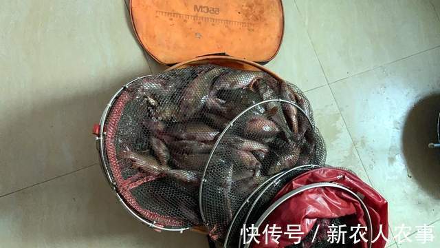 广东一男子钓鱼瘾犯了,寒冷的冬日里夜钓,一不小心就实现了爆护