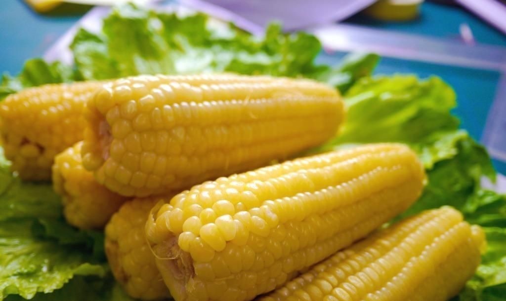 主食|减脂最狠的4种主食，每天吃一点，刮油燃脂，体重噌噌往下降