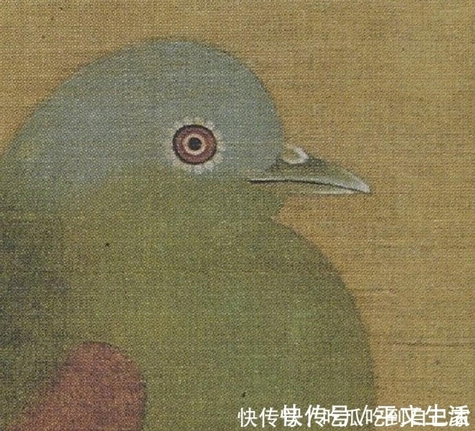 放大20倍$宋徽宗的巅峰之作是什么?《桃鸠图》放大20倍,细节让人陶醉