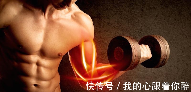 比目鱼肌|认识你的肌肉 6个卓越的人类肌肉