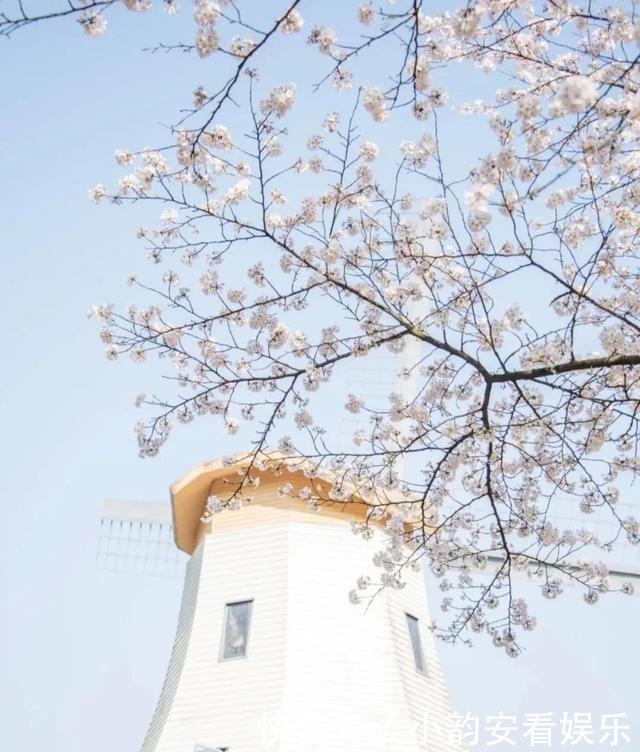 老年|春日“花式”拍照攻略！过完春节等春天