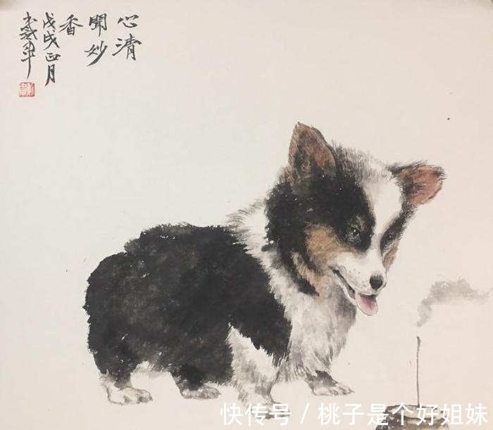 干支犬|“不同出生年”的干支犬，8月的运势分析