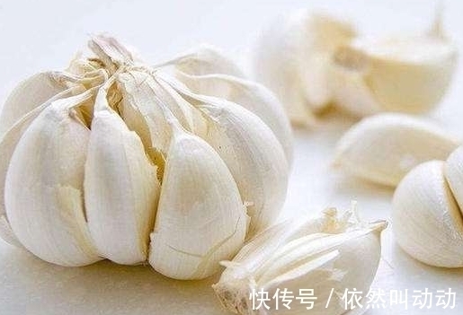 蚊子|原来小小的蚊子最害怕这几件事情,一起进来看看就知道了!收藏!