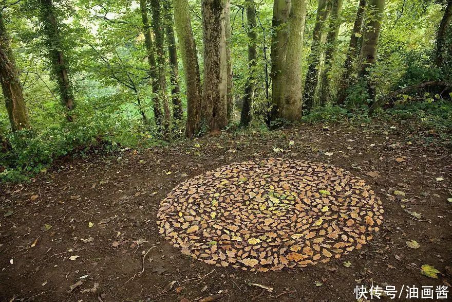 詹姆斯|艺术家用石头和树叶“作画”,网友直呼:太解压,治愈强迫症