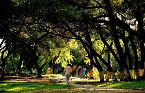 早起|为什么高血压愈发“无孔不入”?医生提醒:早起3不要,血压自己降