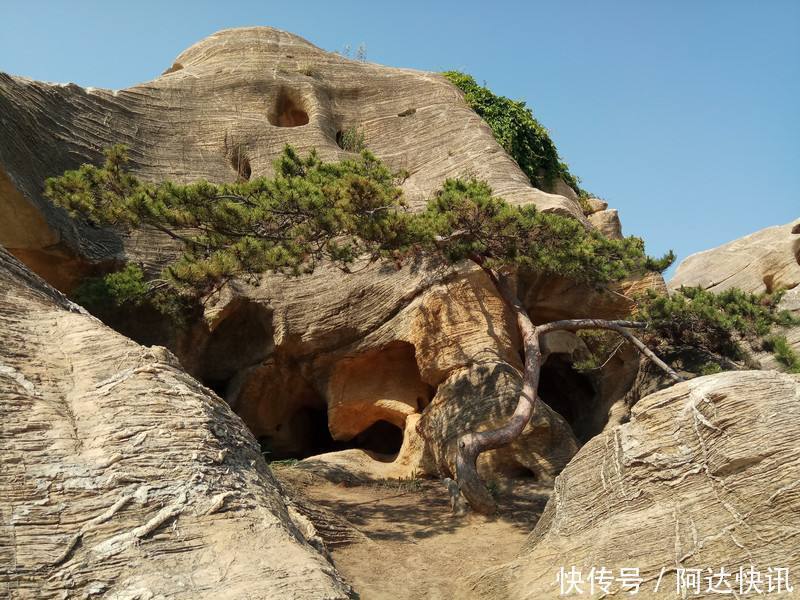 由细菌堆积而成的岩石，长得像松糕，它浓缩了地球3亿年的历史