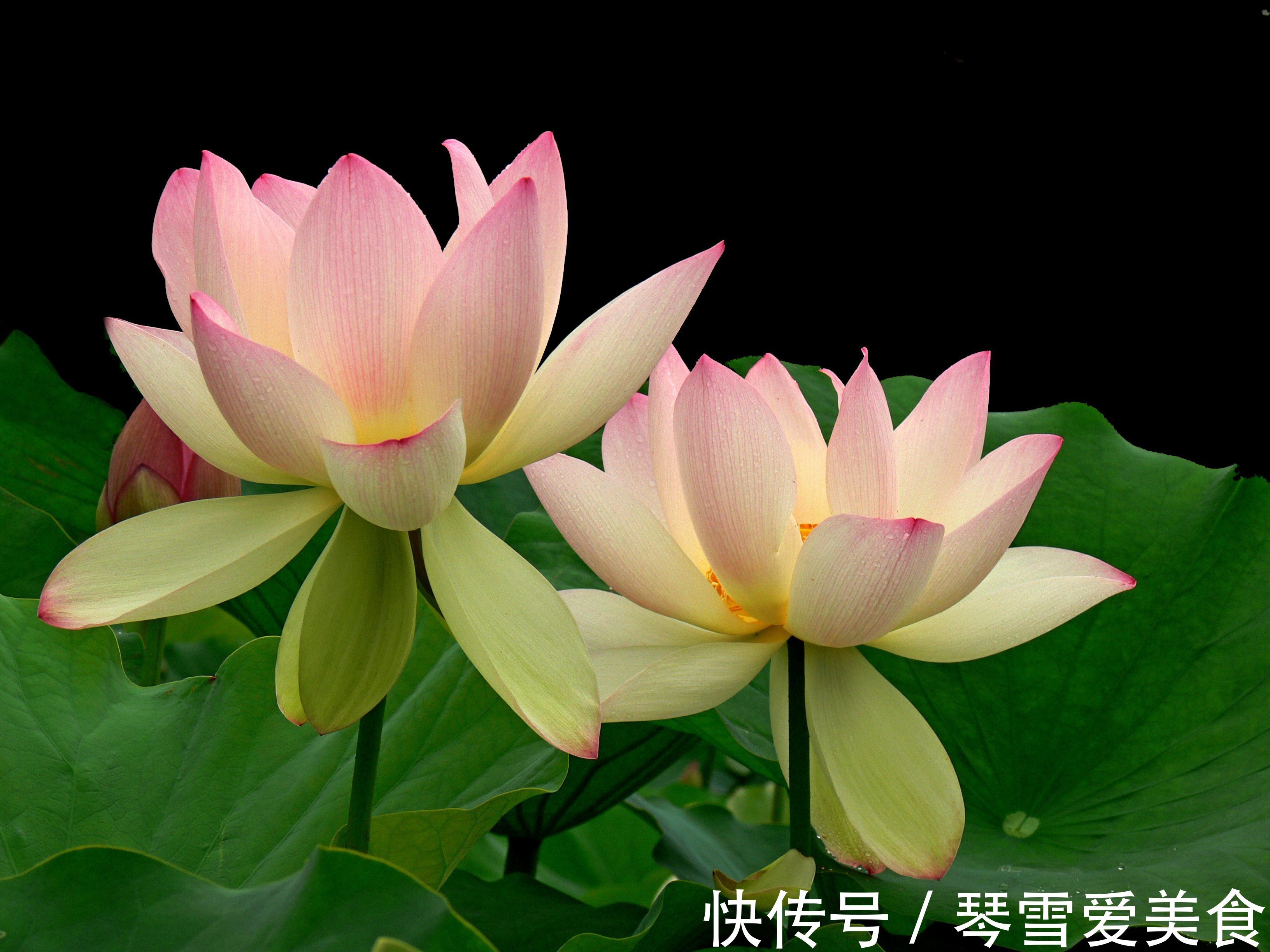 大姨|儿女成家后,和亲家相处做到2点就够了,很重要