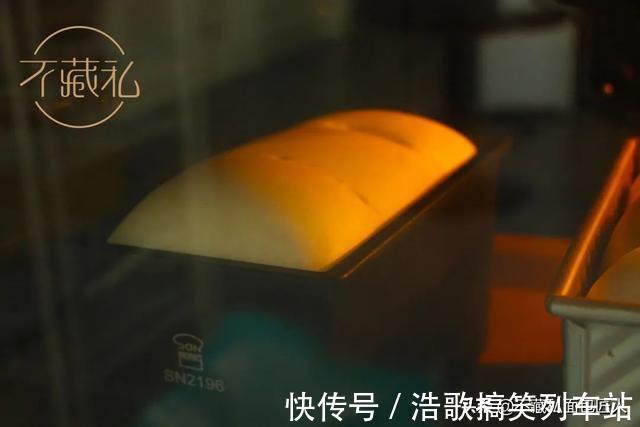 发酵|实验室｜打工人必须看！最节省做包时间的方法到底是哪个？