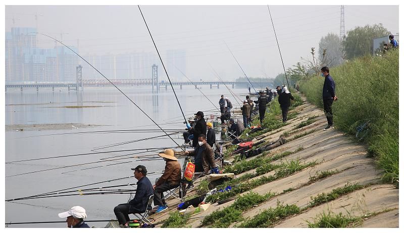 初夏在野钓鲫鱼，隔壁钓友连杆不断你却不上鱼，原因多是这三点！