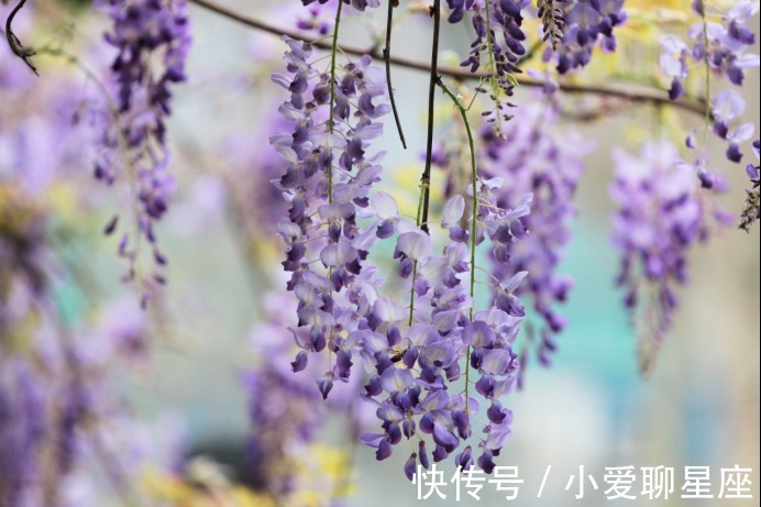 射手座|未来一周,运势稳步提升,事业气势如虹,人生志得意满的3星座