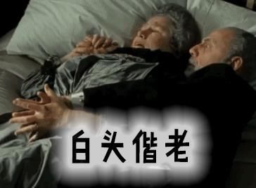  变白|白头发拔1根长10根？打工人的另一种忧伤是“白发恐慌”