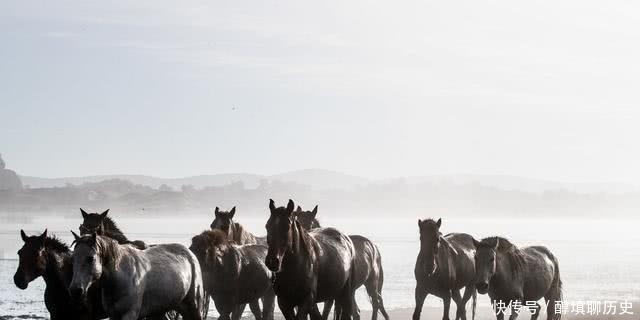 武帝|从缩衣节食的高祖到亭台楼阁的武帝,西汉发生了怎样的转变