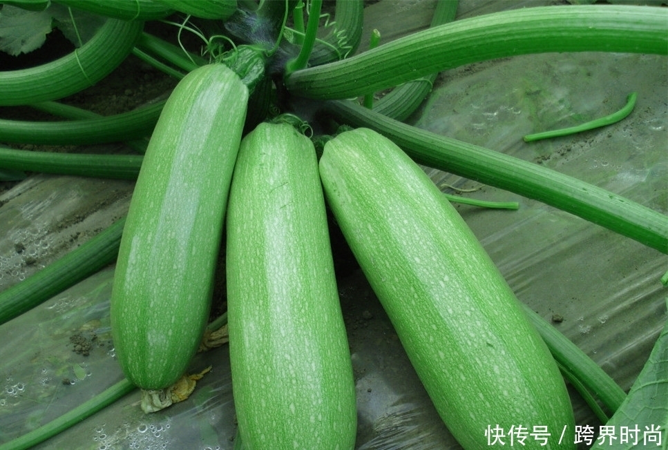 西兰花都靠边,此菜才厉害,清热解毒,皮肤细