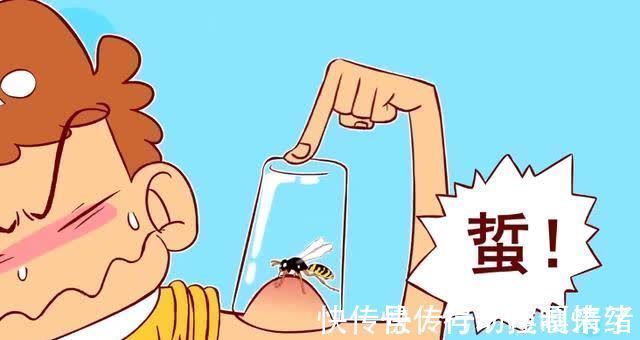动漫|非人哉:为了当上保安,小衰拼了老命,竟然抓马蜂蜇自己。