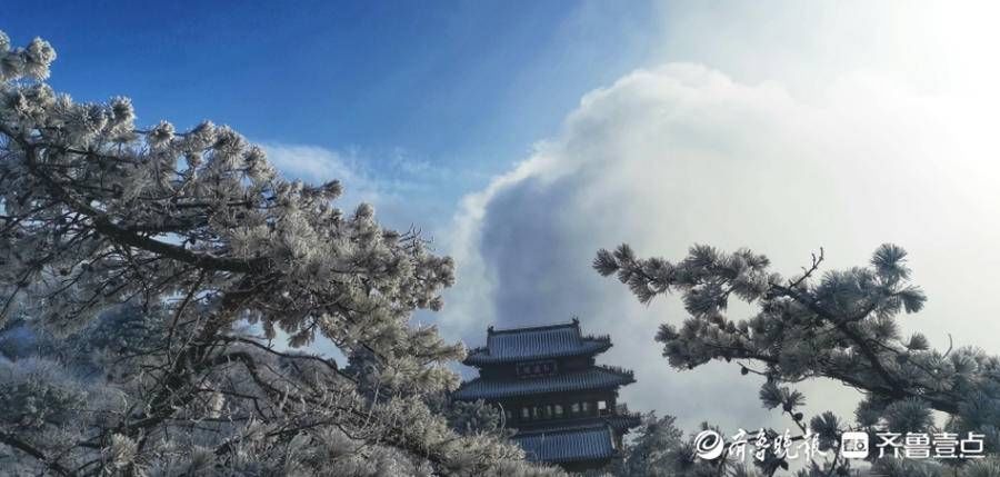 岱顶|壹图集丨腊八泰山迎瑞雪，岱顶秒变“琼楼玉宇”