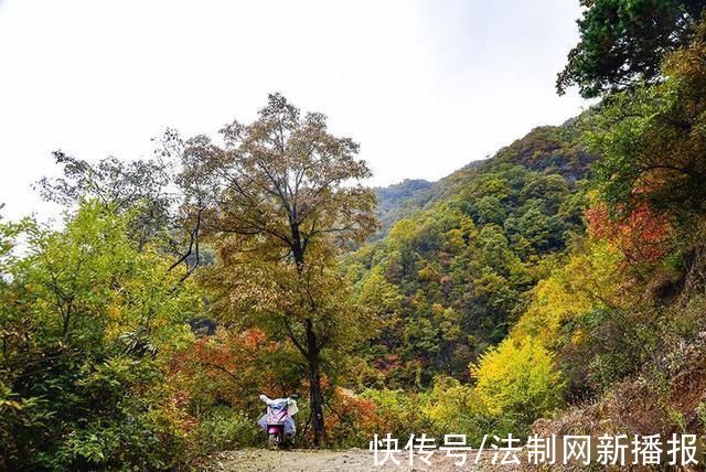 万山红遍|汉中略阳的秋天