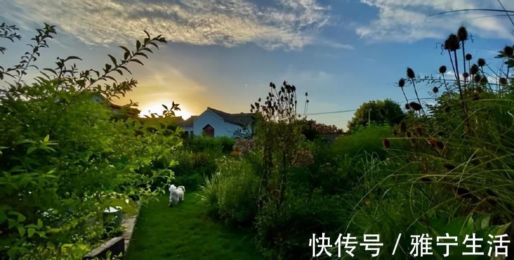 大花园|退休夫妻花4年改造自家老房，建3000㎡大花园，住在人间仙境里
