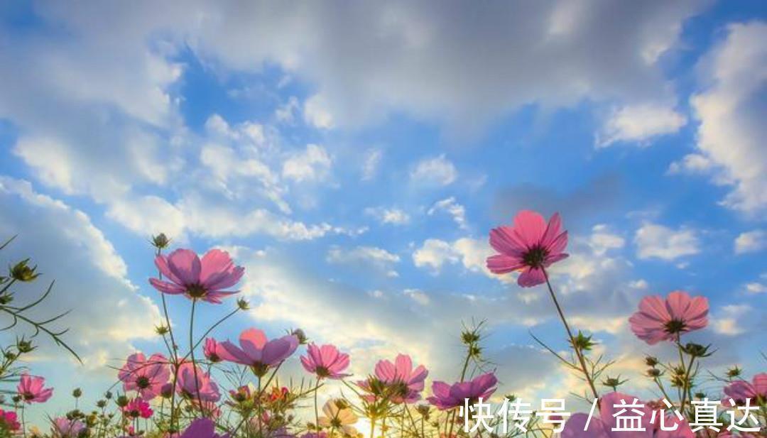 宋神宗&王安石最有意境的一首诗,看似写得很一般,读来却让人拍案叫绝!