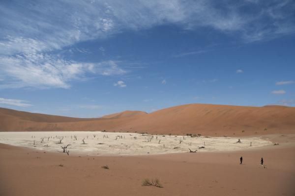 沼地|走进纳米比亚红沙漠