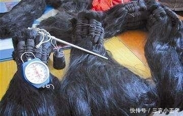 从农村高价收的头发, 最后拿来做什么了? 看完你还敢卖头发吗?