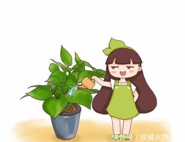 肥料|浇水时加点小东西，植物用了呼呼长，连肥料都省了！