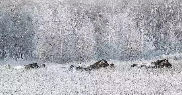 雪漫|雪漫中国，绝色江山！