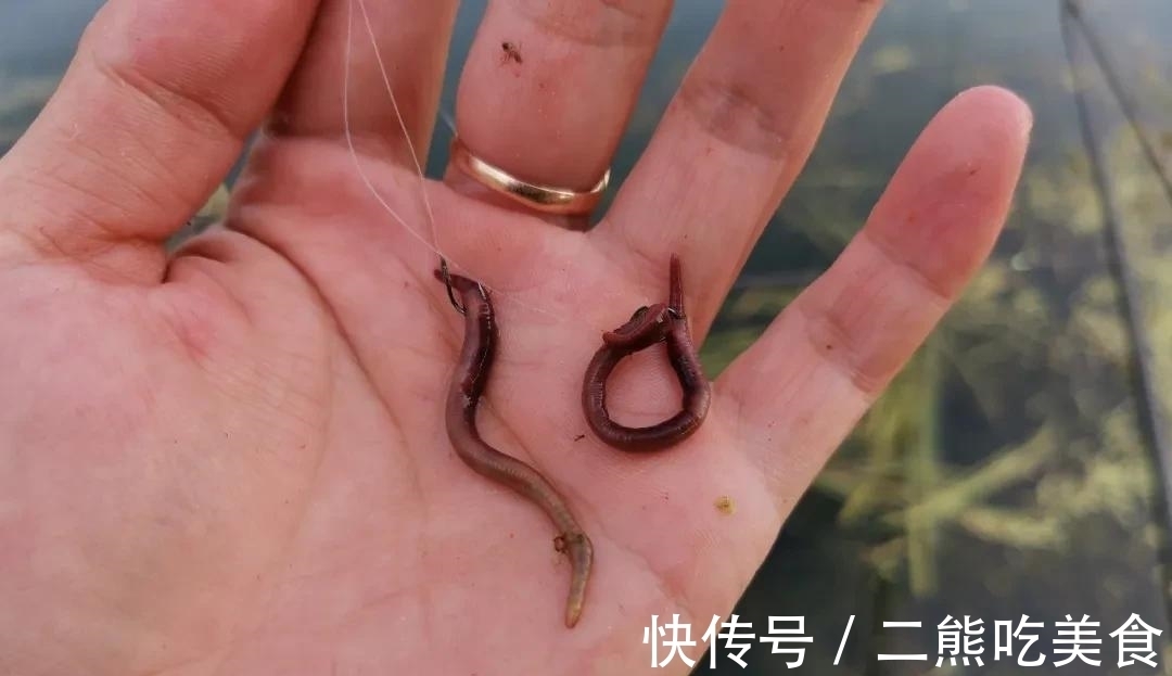 上几条鱼就停口？冬季野钓最大的难题，唯有这样解决才对路